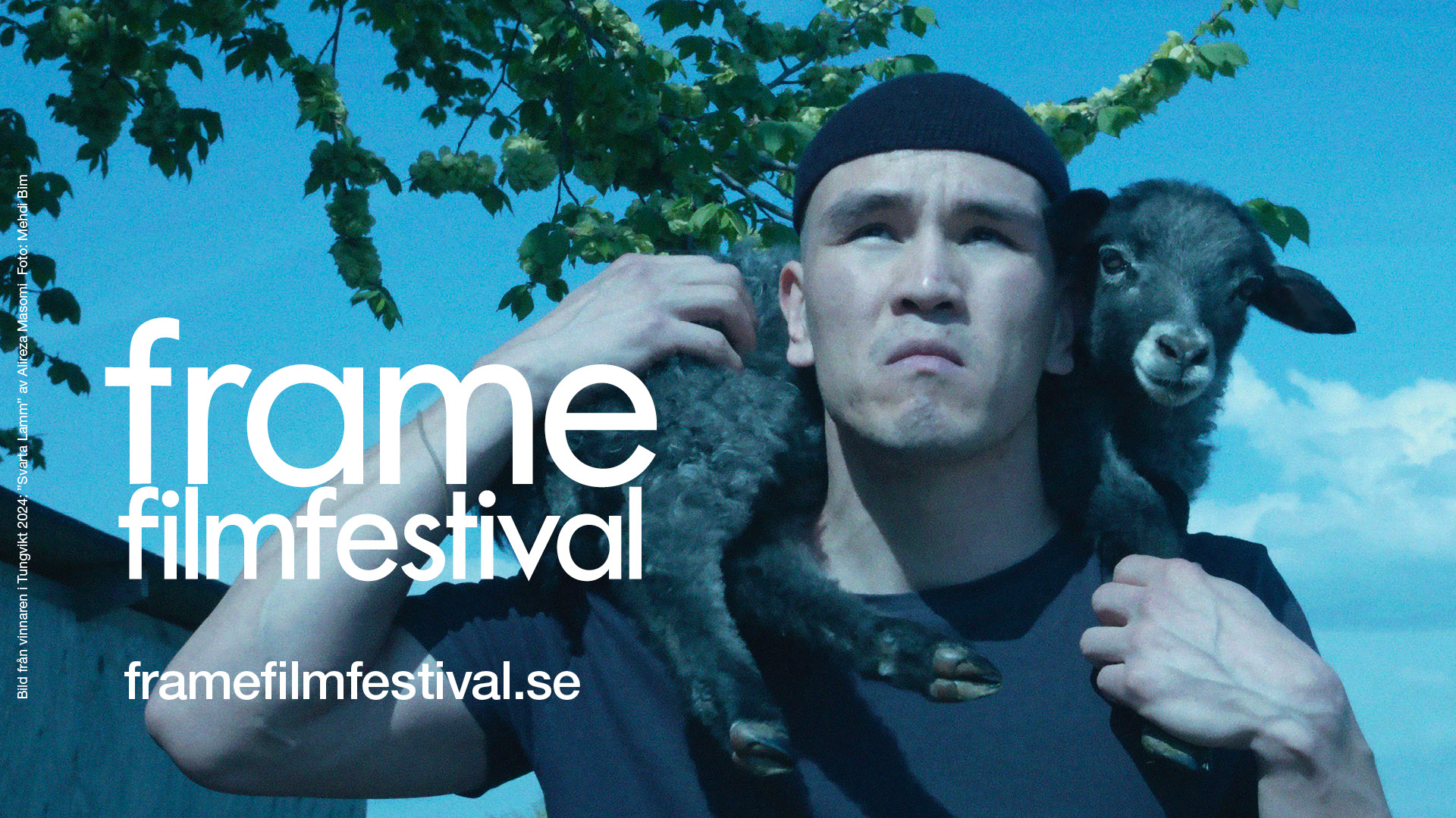 Ung man med svart mössa bär ett lamm på ryggen